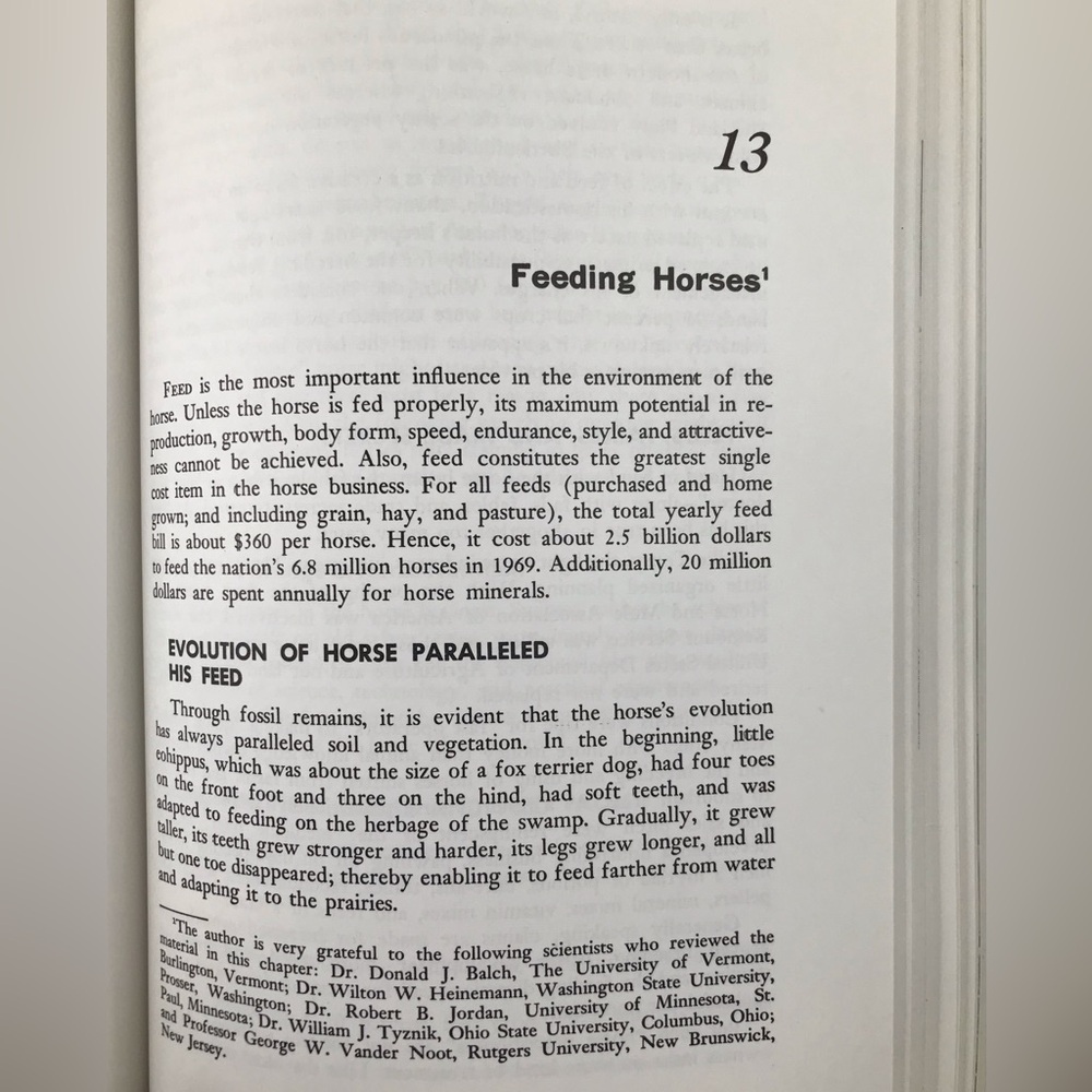 VTG Horses and Horsemanship Textbook - Picture 8 of 12